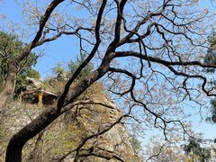 -北京鹫峰国家森林公园