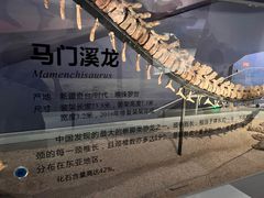 -长江文明馆