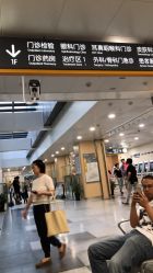 -上海交通大学医学院附属上海儿童医学中心(陆家嘴总院区)