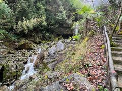-鹿院坪生态旅游景区