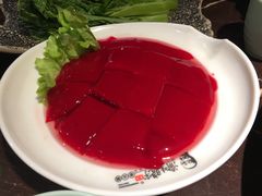 鲜鸭血-晓宇重庆火锅(赛格国际购物中心店)
