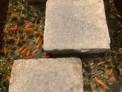 -邈墨茶馆(凤起路店)