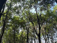 -草根堂农场