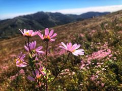 -灵山