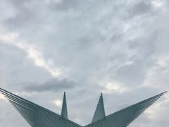 -风云岭森林公园