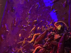 -令狐冲·炭烤活鱼(宝龙店)