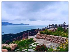 -枸杞岛