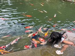 -重庆神龙峡漂流