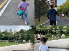 -八仙山公园