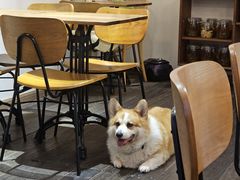 -肥朵食堂(带梦胡同店)