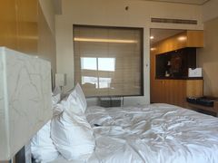 -天津滨海圣光皇冠国际酒店