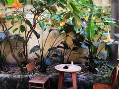 -懒鱼时光馆(沙坪坝店)