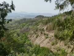 -磬锤峰森林公园