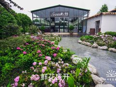 -洪湖家庭农场·团建·露营·会议