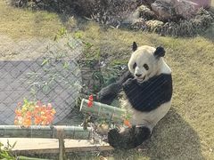 -无锡动物园·太湖欢乐园