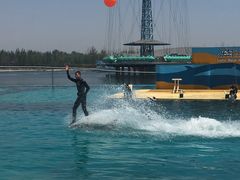 -秦皇岛乐岛海洋王国