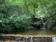 -青峰峡国家森林公园