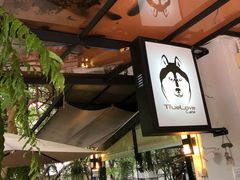 -TrueLove @ Neverland (Husky Cafe)