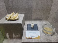 -烟台自然博物馆