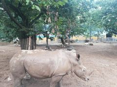-西安秦岭野生动物园