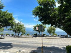 -野菌皇海景野生菌火锅(滨海大道店)