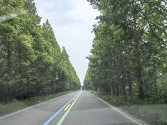 -黄海国家森林公园