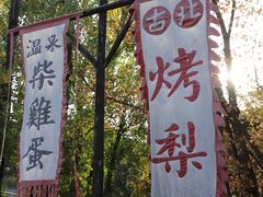 -古北烤梨