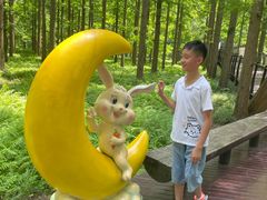 -黄海国家森林公园