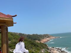 -广东惠东海龟国家级自然保护区