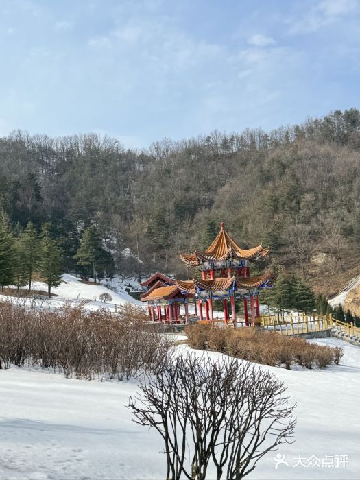 洛阳伏牛山滑雪场图片