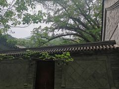 -北京鹫峰国家森林公园