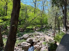 -泰山风景名胜区