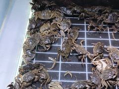 -聚盛源蒸汽海鲜火锅烤肉自助(巨川金海岸购物广场店)