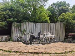 -白马涧龙池景区