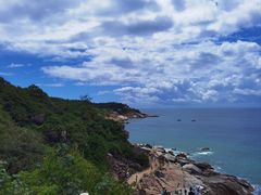 -广东惠东海龟国家级自然保护区