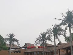 -上海野生动物园