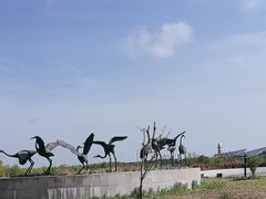 -盐城丹顶鹤湿地生态旅游区