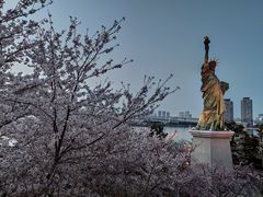 -台场海滨公园船码头