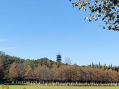 -宜兴龙背山森林公园
