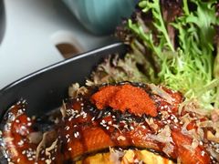 25厘米超长肥嘟鳗鱼饭-猫儿山۰猫主题餐厅