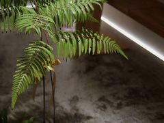 -光作面包Voila Lumiere(中山店)