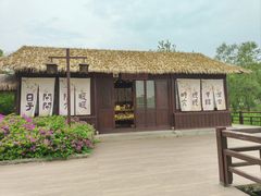 -苏州太湖国家湿地公园
