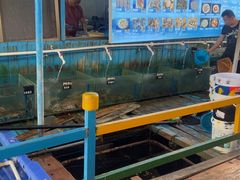 -蓝湾碧波·老字号·疍家非遗海上餐厅