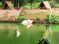 -沈阳森林动物园