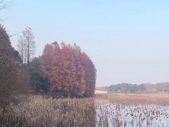 -东湖落雁景区
