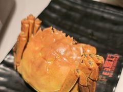 -红盔甲·小龙虾(昌里路店)