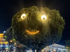 -特克斯八卦城