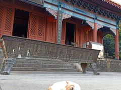 -南沙天后宫景区