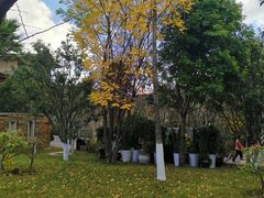 -大理实力希尔顿酒店御璽中餐厅YUXI – CHINESE RESTAURANT