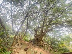 -宋井风景区